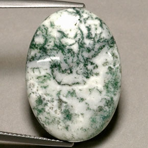 Jaspe Multicolor natural de 17.74 ct, Corte Óvalo, Opaco