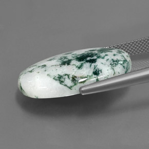 Jaspe Multicolor natural de 17.10 ct, Corte Óvalo, Opaco