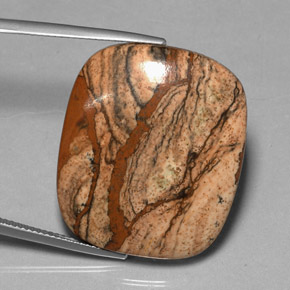 Jaspe multicolor natural de 38,85 ct, corte cojín, opaco
