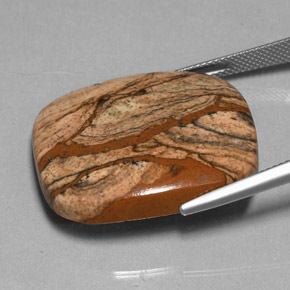 Jaspe multicolor natural de 38,85 ct, corte cojín, opaco