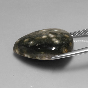 Jaspe multicolor natural de 24,92 ct, en forma de pera, opaco