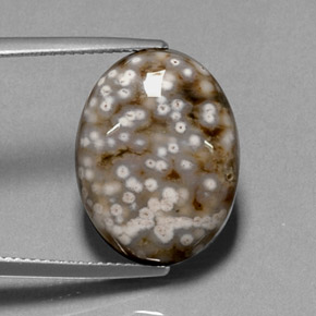 Jaspe multicolor natural de 13,68 ct, corte óvalo, opaco