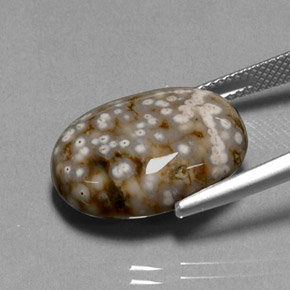 Jaspe multicolor natural de 13,68 ct, corte óvalo, opaco