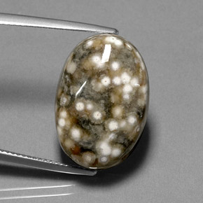 Jaspe multicolor natural de 17,44 ct, corte óvalo, opaco