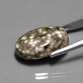 Jaspe multicolor natural de 17,44 ct, corte óvalo, opaco