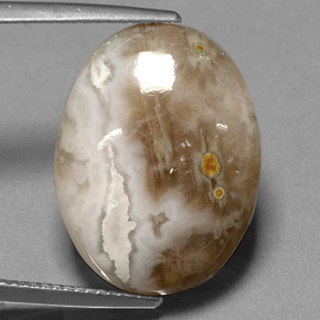 Jaspe multicolor natural de 14,72 ct, transparente, transparente / translúcido