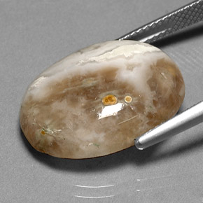 Jaspe multicolor natural de 14,72 ct, transparente, transparente / translúcido