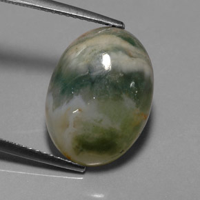 Jaspe multicolor natural de 9,17 ct, transparente, transparente / translúcido