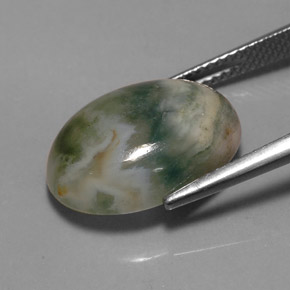 Jaspe multicolor natural de 9,17 ct, transparente, transparente / translúcido