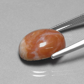 Jaspe Multicolor natural de 9.66 ct, Corte Óvalo, Opaco