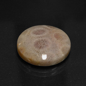 Jaspe multicolor natural de 12,45 ct, corte redondo, opaco