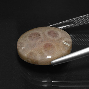 Jaspe multicolor natural de 12,45 ct, corte redondo, opaco