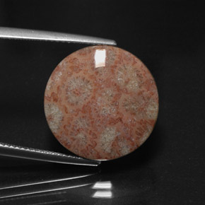 Jaspe multicolor natural de 11,73 ct, corte redondo, opaco