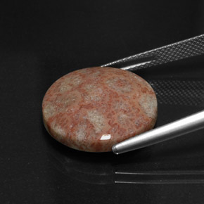 Jaspe multicolor natural de 11,73 ct, corte redondo, opaco