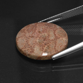 Jaspe multicolor natural de 13,65 ct, corte redondo, opaco