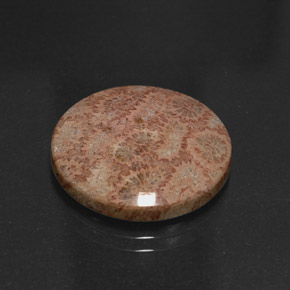 Jaspe multicolor natural de 13,65 ct, corte redondo, opaco