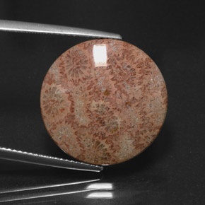 Jaspe multicolor natural de 13,65 ct, corte redondo, opaco