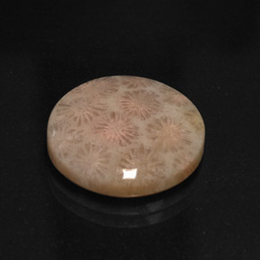 Jaspe multicolor natural de 10,99 ct, corte redondo, opaco