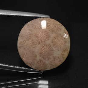 Jaspe multicolor natural de 10,99 ct, corte redondo, opaco