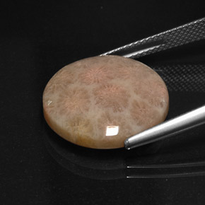 Jaspe multicolor natural de 10,99 ct, corte redondo, opaco