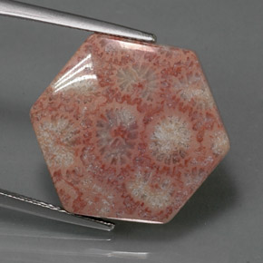 Jaspe multicolor natural de 13,39 ct, forma elegante, opaco