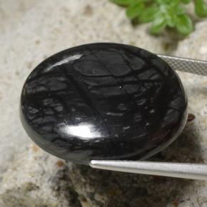 Jaspe negro natural de 32,19 ct, corte redondo, opaco