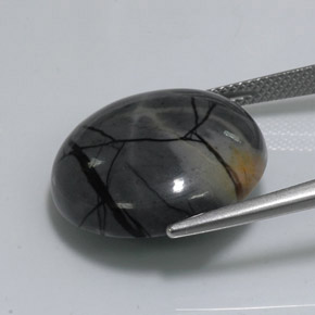 Jaspe multicolor natural de 18,77 ct, corte redondo, opaco
