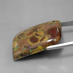 Jaspe Multicolor natural de 34.76 ct, Forma elegante, Opaco