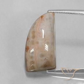 12.74ct Natural Multicolor Jaspe, Elegante, Opaco