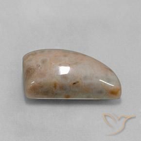 Jaspe Multicolor natural de 12.74 ct, Elegante, Opaco