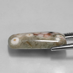 Jaspe multicolor natural de 9,46 ct, forma elegante, opaco