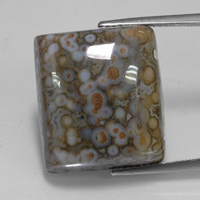 Jaspe multicolor natural de 23,65 ct, cuadrado, opaco
