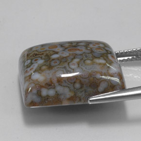 Jaspe multicolor natural de 23,65 ct, cuadrado, opaco