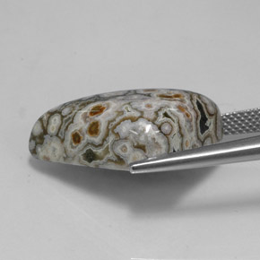 Jaspe multicolor natural de 16,27 ct, forma elegante, opaco