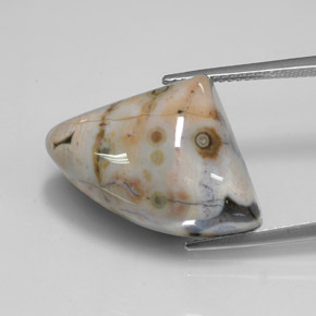 Jaspe multicolor natural de 21,44 ct, forma elegante, opaco