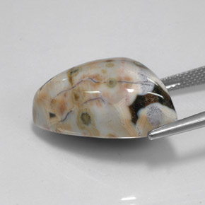 Jaspe multicolor natural de 21,44 ct, forma elegante, opaco