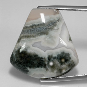 Jaspe Multicolor natural de 29.53 ct, Forma elegante, Opaco