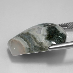 Jaspe Multicolor natural de 29.53 ct, Forma elegante, Opaco