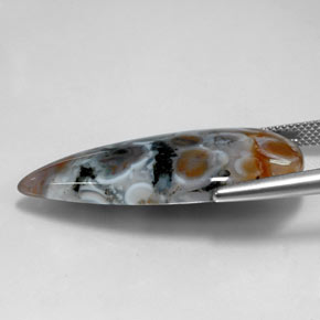 Jaspe multicolor natural de 22,85 ct, en forma de pera, translúcido