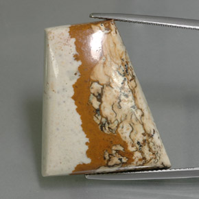 Jaspe multicolor natural de 37,65 ct, forma elegante, opaco