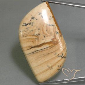 45.75ct Natural Multicolor Jaspe, Elegante, Opaco