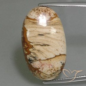 18.14ct Natural Multicolor Jaspe, Ovalada, Opaco