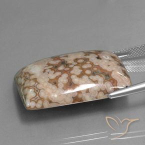 Jaspe Multicolor natural de 47.73 ct, Corte Baguette, Opaco