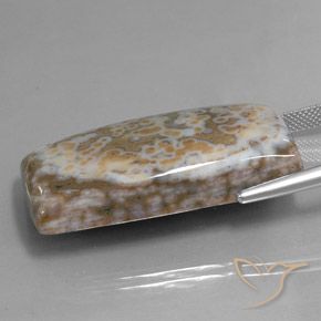 Jaspe Multicolor natural de 58.74 ct, Corte Baguette, Opaco