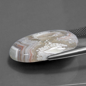 Jaspe Multicolor natural de 24.90 ct, Corte Óvalo, Opaco