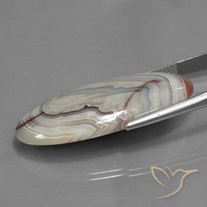 Jaspe Multicolor natural de 43.89 ct, Ovalada, Opaco