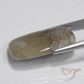Jaspe Multicolor natural de 15.42 ct, Corte Baguette, Opaco
