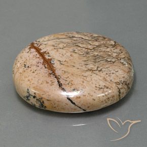 Jaspe Multicolor natural de 44.28 ct, Ovalada, Opaco