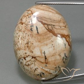 44.54ct Natural Multicolor Jaspe, Ovalada, Opaco