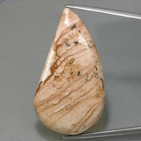 Jaspe multicolor natural de 47,27 ct, forma elegante, opaco